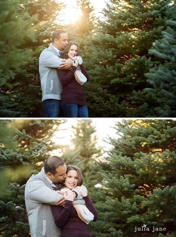 tree farm engagement session in connecticut by connecticut wedding photographer julia jane studios