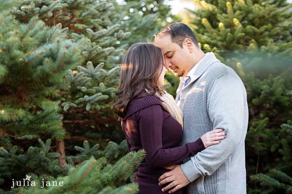 tree farm engagement session in connecticut by connecticut wedding photographer julia jane studios