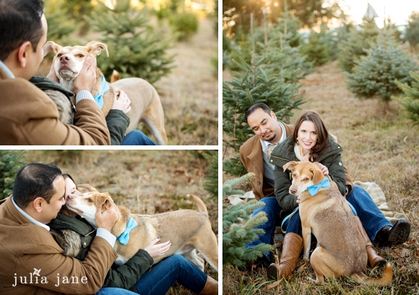 winter family portraits in connecticut 
