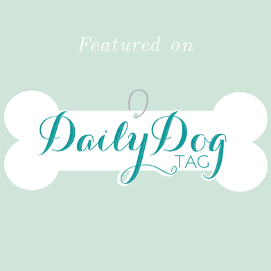 Featured on Daily Dog Tag: Emily & Chris